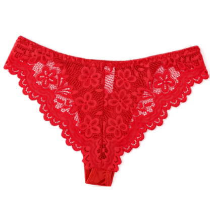 Breathable Lace Satin Low-Rise Briefs with Delicate Straps