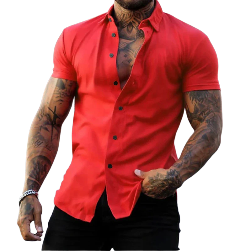 Casual Solid No-Iron Fit Men’s Short Sleeve Stretch Lapel Shirt