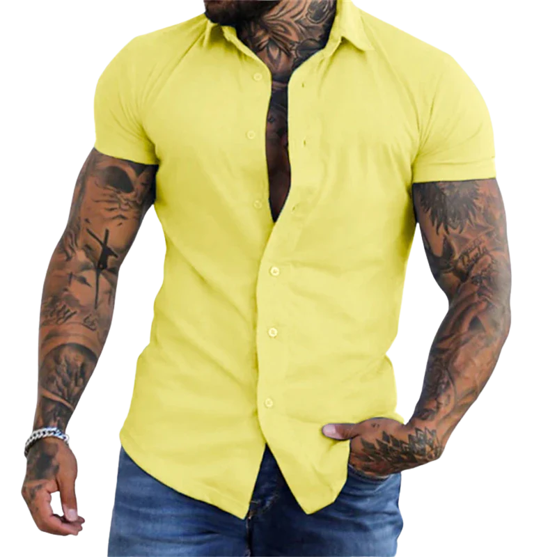 Casual Solid No-Iron Fit Men’s Short Sleeve Stretch Lapel Shirt
