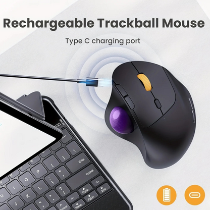 Ergonomic, Rechargeable, Multi-OS ProtoArc EM04 BT Trackball Mouse