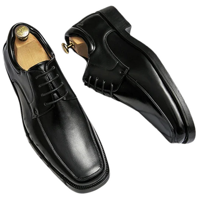 Pair of black dress shoes on a white background